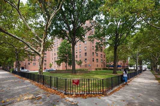Cooper Park Houses
